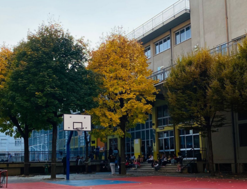 Tra un gioco e l’altro e una castagna e l’altra